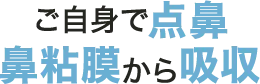 ご自身で点鼻　鼻粘膜から吸収