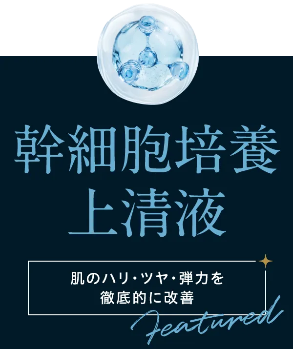 肌のハリ・ツヤ・弾力を徹底的に改善