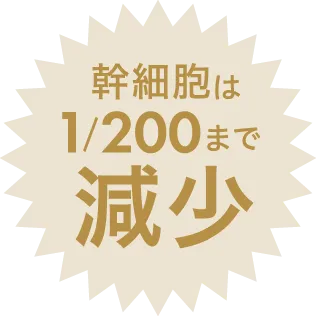 幹細胞は1/200まで減少