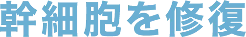 幹細胞を修復
