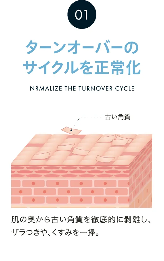 ターンオーバーのサイクルを正常化