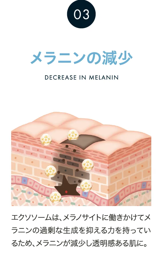 メラニンの減少