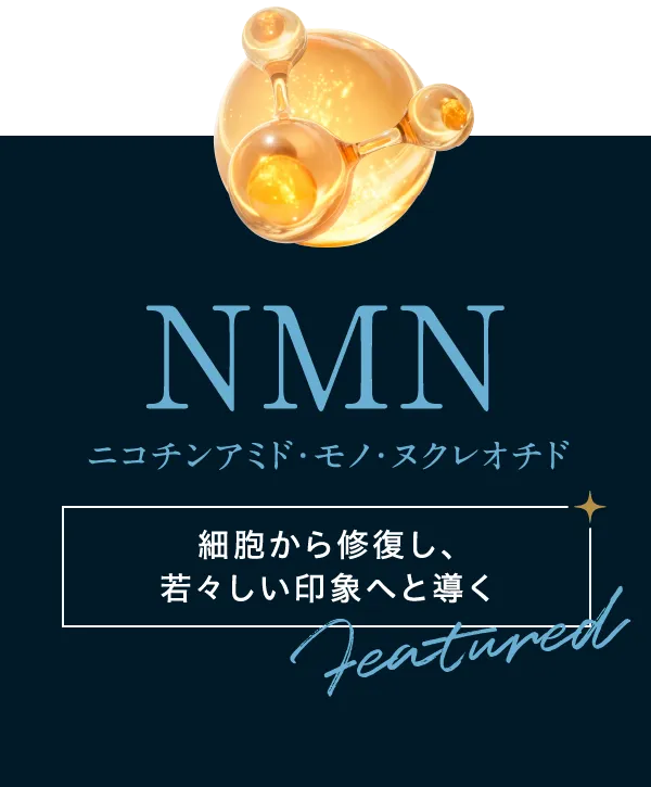 NMN ニコチンアミド・モノ・ヌクレオチド