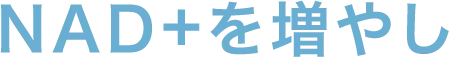 NAD+を増やし
