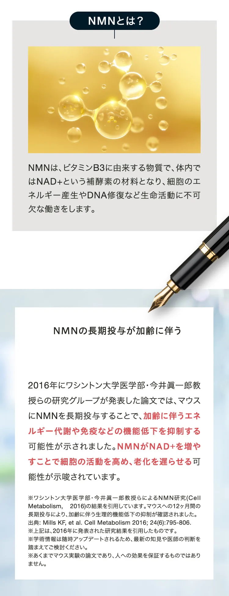 NMNとは？