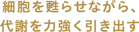 細胞を甦らせながら、代謝を力強く引き出す