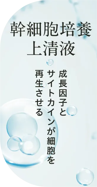 幹細胞培養上清液　成長因子とサイトカインが細胞を再生させる