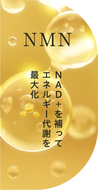 NMN　NAD＋を補ってエネルギー代謝を最大化