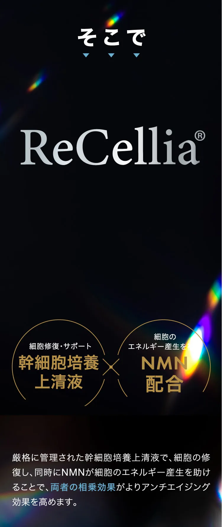 そこでReCellia　細胞修復・サポート　幹細胞培養上清液　×　細胞のエネルギー産生を　NMN配合　厳格に管理された幹細胞培養上清液で、細胞を修復し、同時にNMNが細胞のエネルギー産生を助けることで、両者の相乗効果がよりアンチエイジング効果を高めます。
